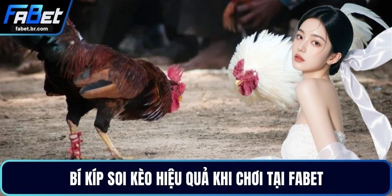 Bí kíp soi kèo hiệu quả khi chơi tại FABET