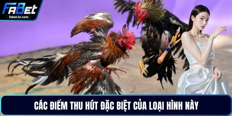 Các điểm thu hút đặc biệt của loại hình này