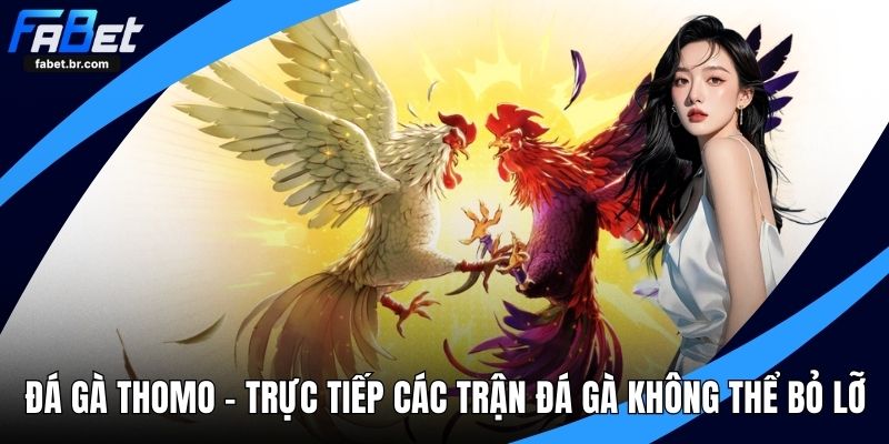 đá gà thomo
