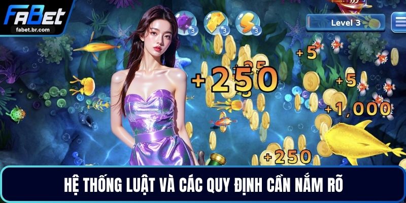 Hệ thống luật và các quy định cần nắm rõ