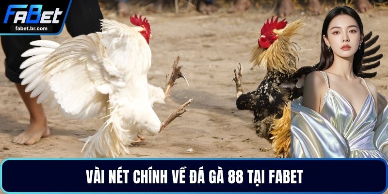 Vài nét chính về đá gà 88 tại FABET