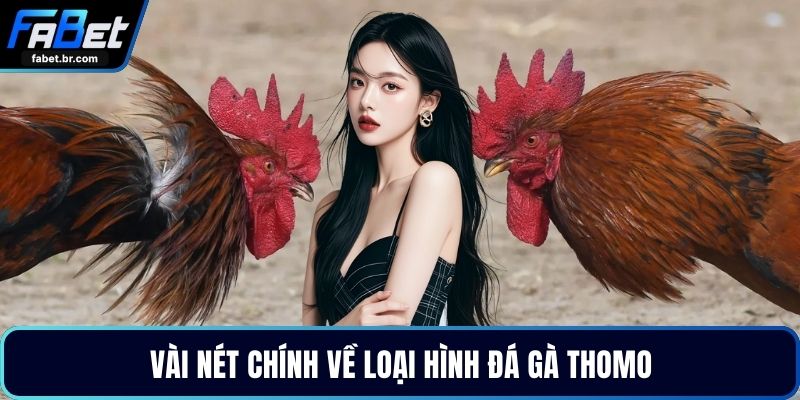 Vài nét chính về loại hình đá gà Thomo